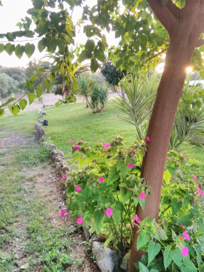 Villa Quinta Da Perdiz Country House à Santarém Extérieur photo