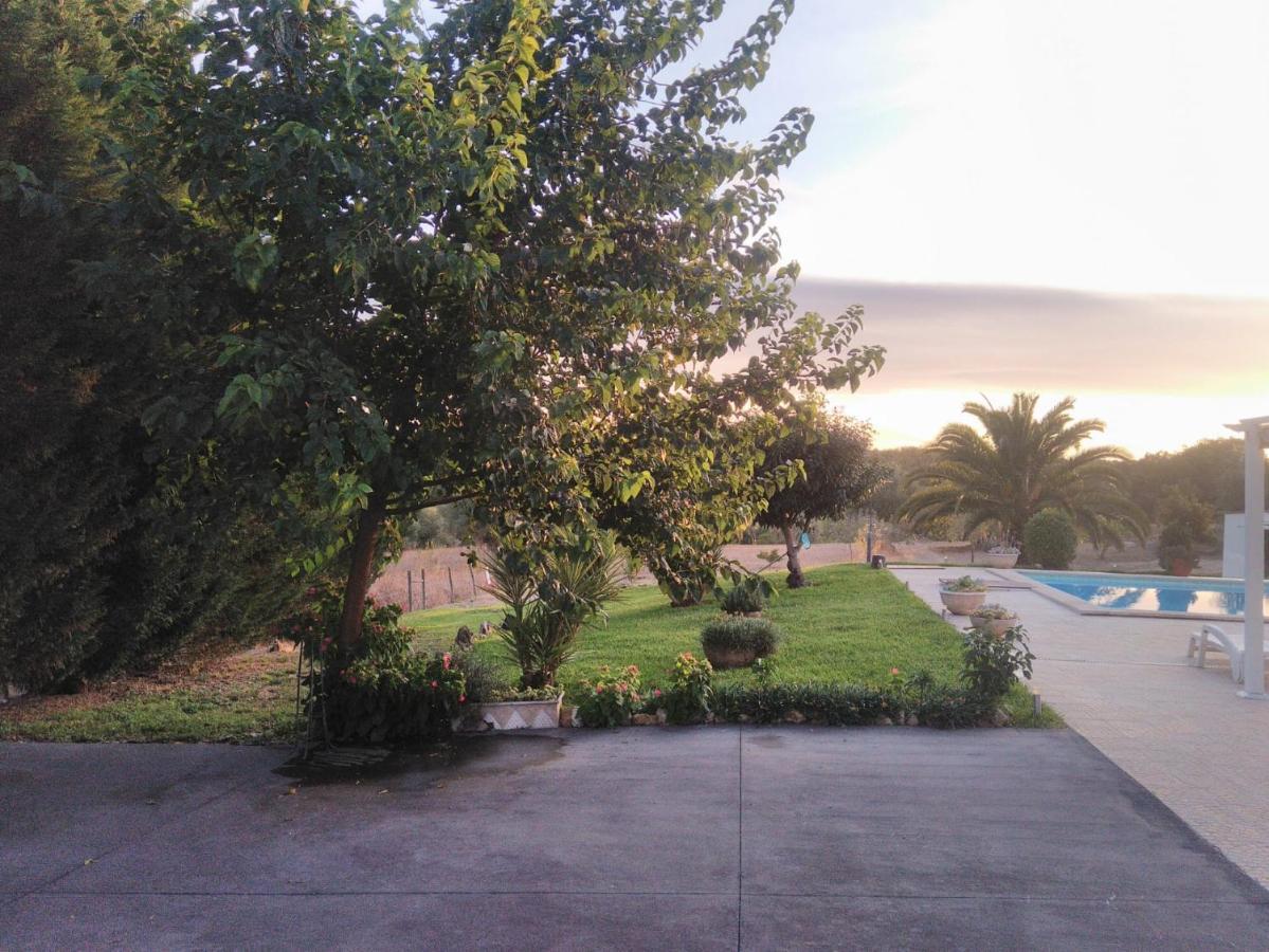 Villa Quinta Da Perdiz Country House à Santarém Extérieur photo